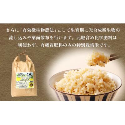 ふるさと納税 玖珠町 【令和8年産米先行受付】原さんちのお米 玄米 10kg にこまる 米 お米 こめ コメ ご飯 |  | 02