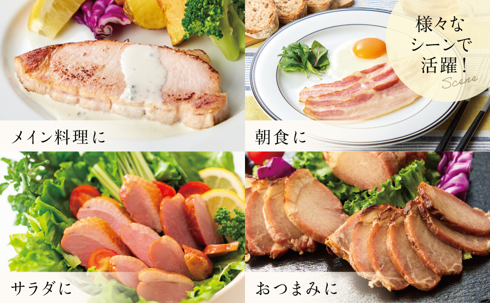 【マイスター山野井】5種類の焼豚とハム・ベーコン詰め合わせ（9種） ハム 焼き豚 ロースハム 合鴨 みそ漬け ハムギフト グルメ 惣菜 詰合せ アソート ギフト 内祝い 贈答 冷蔵 山野井 鹿児島