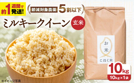 【スピード発送】ミルキークイーン 玄米10kg[AQAK011] 玄米