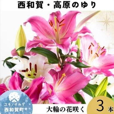 ふるさと納税 西和賀町 <期間限定11月30日迄>高原ふれあい産直　西和賀・高原のユリ 3本