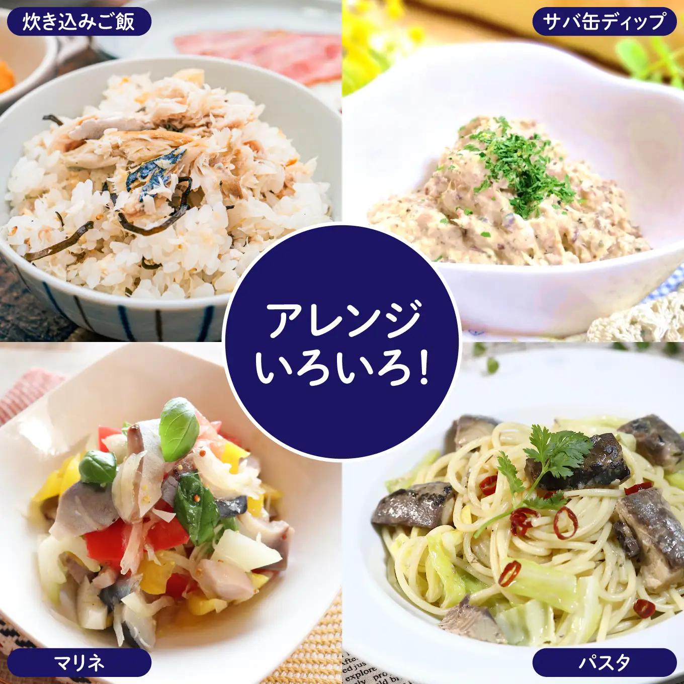 HOKO 鯖水煮 津軽海峡の塩使用 ＜12缶＞ 1缶200g 国産さば 宝幸 おかず おつまみ 缶詰 非常食 保存食 長期保存 青森県 八戸市