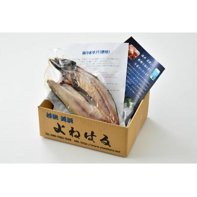 ふるさと納税 美浜町 よねはるお薦めの極うまサバ【塩味】3尾 |  | 03
