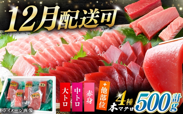 
                  【選べる配送時期】対馬産 生 本マグロ 500g （赤身、中トロ、大トロ）《対馬市》【対海】 中トロ 大トロ まぐろ マグロ 鮪 生まぐろ 冷蔵 海鮮 鮮魚 新鮮 [WAH025]
                
