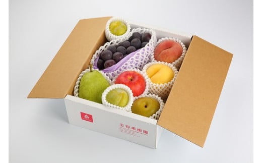 08-03-010　季節のフルーツ詰合せ(9月分)約2.5kg