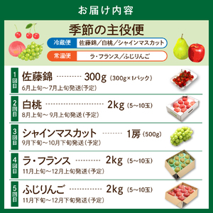 【2026年 先行予約 5回定期便】2026年 フルーツ王国 季節の主役便 千笑花夢提供 山形県 東根市 hi082-046　（サクランボ さくらんぼ 佐藤錦 フルーツ 果物 くだもの ぶどう シャイ