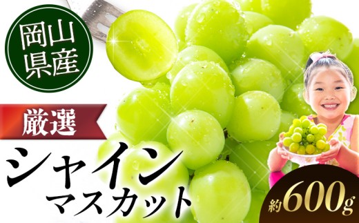 シャインマスカット【2026年出荷先行予約】 厳選 シャインマスカット 約600g 《2026年9月上旬-11月中旬頃に出荷予定》ぶどう 種なし ぶどう 岡山 ぶどう 先行予約 ぶどう シャインマスカット 大粒 シャインマスカット 晴王 シャインマスカット 岡山 シャインマスカット ぶどう