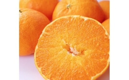 【甘平】【2026年2月頃から発送予定】甘平(かんぺい) 贈答用 約750g 吉本農園