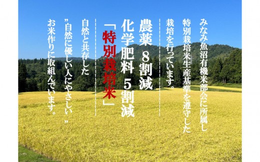 令和8年産米 定期便【天水棚田米】特別栽培米雪蔵熟成塩沢産コシヒカリ精米4kg6回「とやの里山継承プロジェクト」【定期便 銘柄米 精米 こしひかり コシヒカリ 魚沼産 新潟米】【2026年10月下旬よ