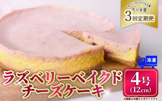 3回 定期便 ラズベリーベイクド チーズケーキ 4号 12cm 冷凍 スイーツ デザート ケーキ ベリー 洋菓子 お菓子 おやつ 手作り お取り寄せ ご褒美 ギフト プレゼント 贈り物 誕生日 記念日 パーティー 濃厚 クリーミー 酸味 爽やか サワークリーム クッキー バター 専門店 チーズケーキ工房 ちーず屋 数量限定 人気 おすすめ ランキング 3ヶ月連続 頒布会 高知県 安芸市