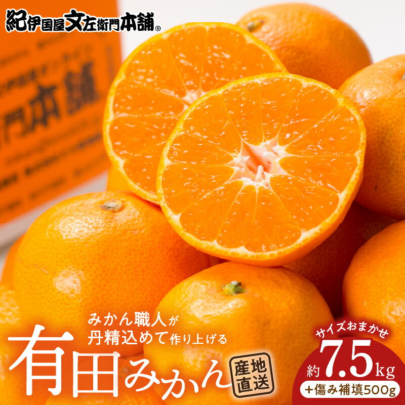 【ふるさと納税】有田みかん約7.5kg(+傷み補填分500g)=合計8kg【サイズおまかせ】／産地直送／紀伊国屋文左衛門本舗（お届け日指定不可）