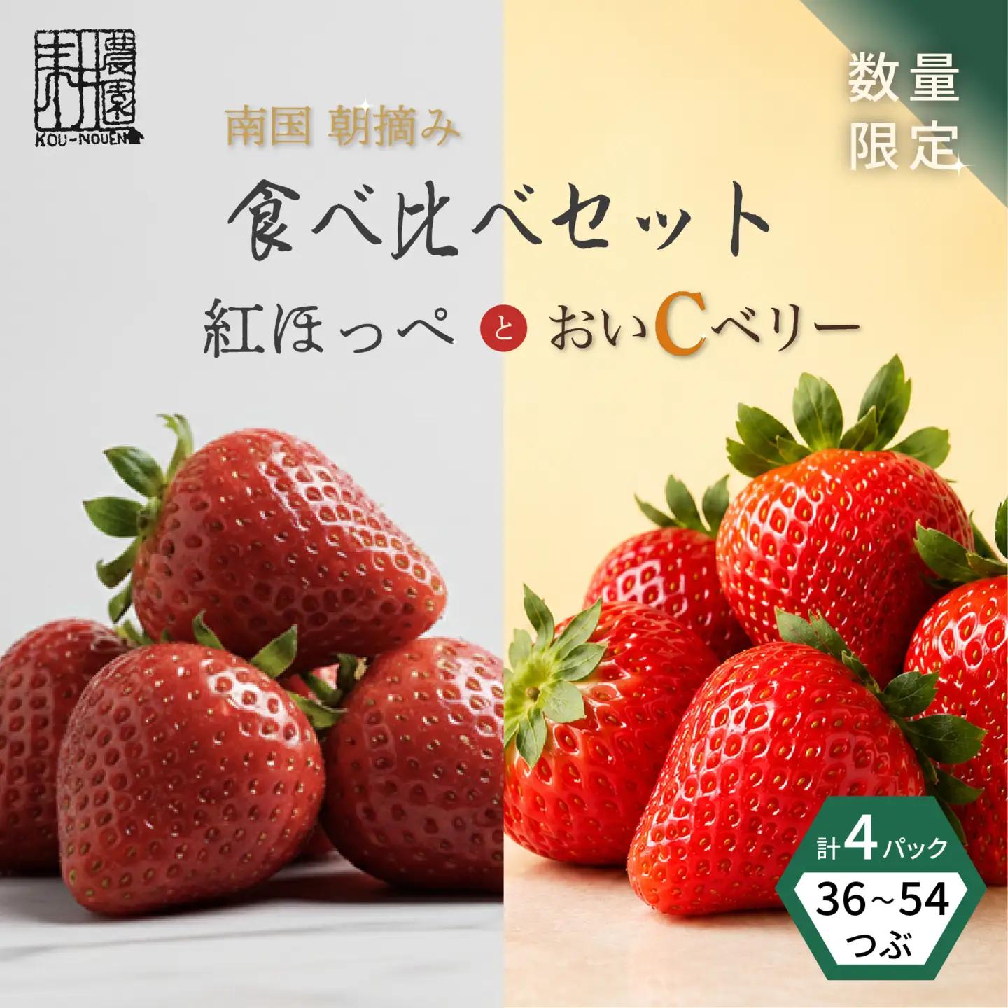 先行予約 いちご 苺 贅沢 食べ比べセット 紅ほっぺ おいCベリー 贈答品 計4パック：36～54粒 （2027年1月発送開始） | 厳選 贈り物 ギフト お取り寄せ 苺 いちご 大粒 南国市
