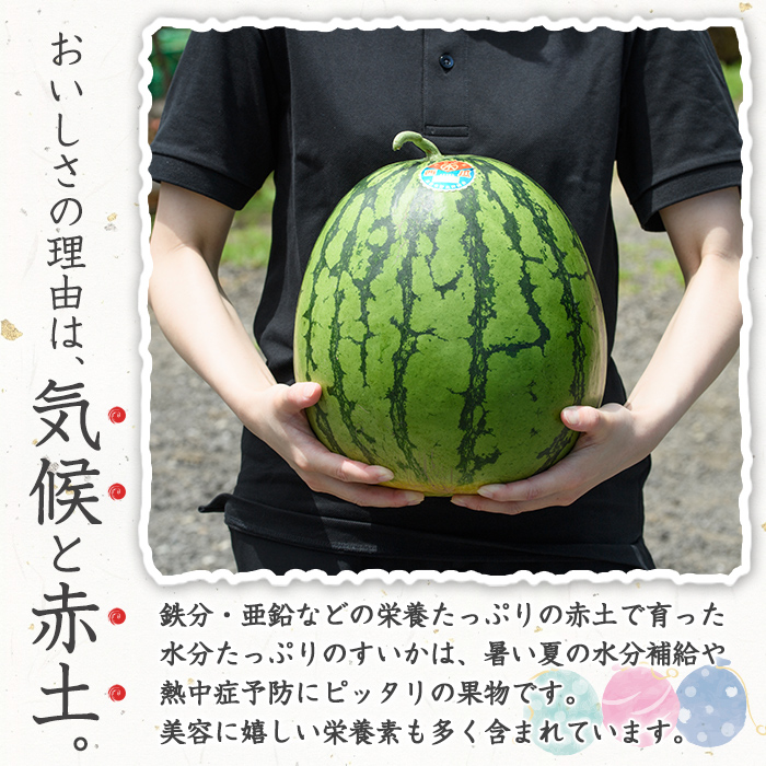 ＜先行予約受付中！2026年7月上旬以降順次発送予定＞幻のブランド「きさきのスイカ」(1玉・8kg以上)  スイカ すいか 西瓜 果物 フルーツ 野菜 旬 夏 おやつ 水分補給 熱中症対策 木佐木野【