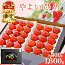 群馬県やよいひめ（いちご）約400g～1,600g【3年連続金賞受賞！】※2024年12月～2025年5月にて順次発送予定