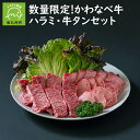 【ふるさと納税】数量限定! かわなべ牛 ハラミ 牛タン 各 150g セット 牛肉 お肉 肉 希少部位 4等級 以上 黒毛和牛 和牛 タン 南九州市産 国産 食品 食べ物 焼肉 お取り寄せ お取り寄せグルメ ギフト 贈答 熨斗対応可 鹿児島県 南九州市 送料無料