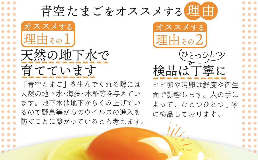 定期便 有田の青空たまご ササキのたまご Mサイズ 60個入 【3か月定期便】   AS009_イメージ2