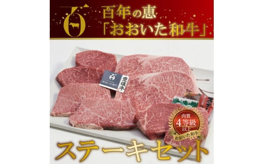 百年の恵 「おおいた和牛」 ステーキセット約800g  牛肉 ステーキセット 和牛 霜降り ロース モモ カルビ ヒレ 豊後牛 赤身 A01066