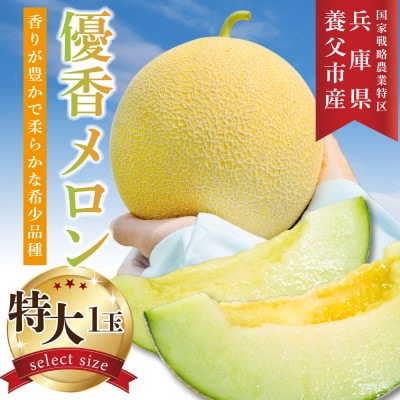 数量限定!こだわり農家さんの希少な優香メロン【特大×1】【配送不可地域：離島・北海道・沖縄県・東北】