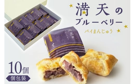 お菓子 個包装 満天のブルーベリー 10個入 [谷口製菓 石川県 宝達志水町38601295] 菓子 焼菓子 菓子折り 和菓子 パイ スイーツ おかし おやつ 常温 ブルーベリー