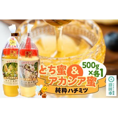 ふるさと納税 沼田市 尾瀬のとち蜜&amp;沼田市産アカシア蜜 詰め合わせ500g×各1本 計1kg 中村養蜂園