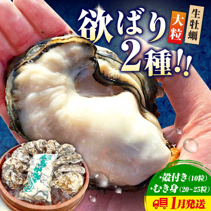 【ふるさと納税】大粒でぷりっぷり【生牡蠣】【着日指定可能】牡蠣 むき身 500g・殻付き 10個 牡蠣 生食 むき身 かき カキ 選べる かき カキ カキフライ 冷蔵 海鮮 広島県産 人気 送料無料 江田島市/株式会社かきうち[XBK004]
