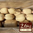 【ふるさと納税】 れんこん 2.6kg　（サイズいろいろ） (G271)