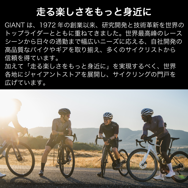 【フレームのみ】GIANT TCR ADVANCED SL FRAMESET（カラー：Polar Tide）｜  ジャイアント ロードバイク 自転車 レース カーボン 東レ