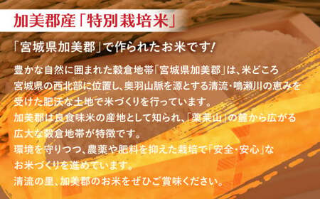 【新米予約】 金芽米 120kg(5kg×24袋) 金芽米