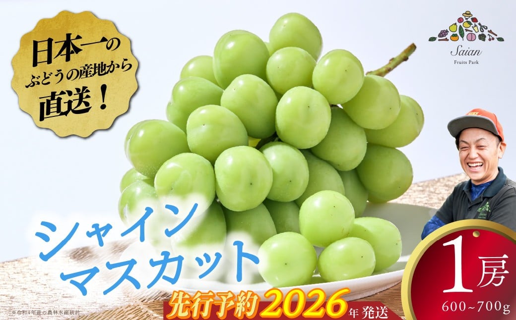 
            【2026年発送分 先行予約】【お試しサイズ】シャインマスカット １房 フルーツ 山梨県産 果物 シャイン マスカット ぶどう ブドウ 大粒 種なし
          