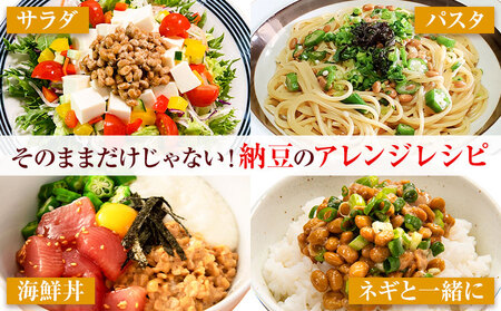 納豆 茨城名産 秋山納豆 生板納豆 組み合わせ 8点 有限会社秋山食品《30日以内に出荷予定(土日祝除く)》茨城県 河内町 納豆 茨城県産 茨城 ナットウキナーゼ たれ カップ納豆 タレ付き 有機 国