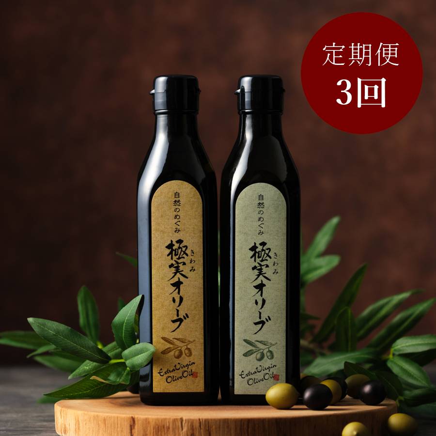 極実 エキストラバージンオリーブオイル二種 290ml×2本　定期便3ヵ月コース