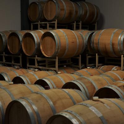 ふるさと納税 奥尻町 【ふるさと納税限定生産】音楽振動熟成「シャン・ド・レザン」奥尻ワイナリー×奥尻中学校吹奏楽部 |  | 02