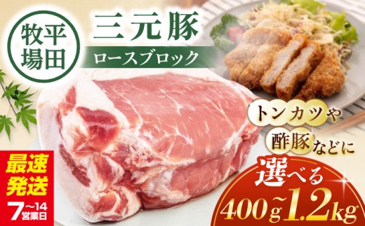 【600g】平田牧場 ロースブロック 600g《喜茂別町》【平田牧場】角煮 豚角煮 豚の角煮 豚肉 豚肉ブロック 豚肉加工品 豚肉惣菜 豚肉おかず 煮込み 煮込み料理 時短 おかず 総菜 惣菜 冷凍  [AJAP070] 10000 10000円 1万円