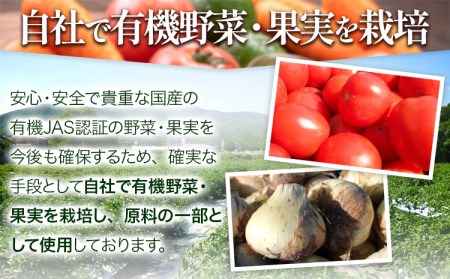 野菜ジュース 24本 光食品
