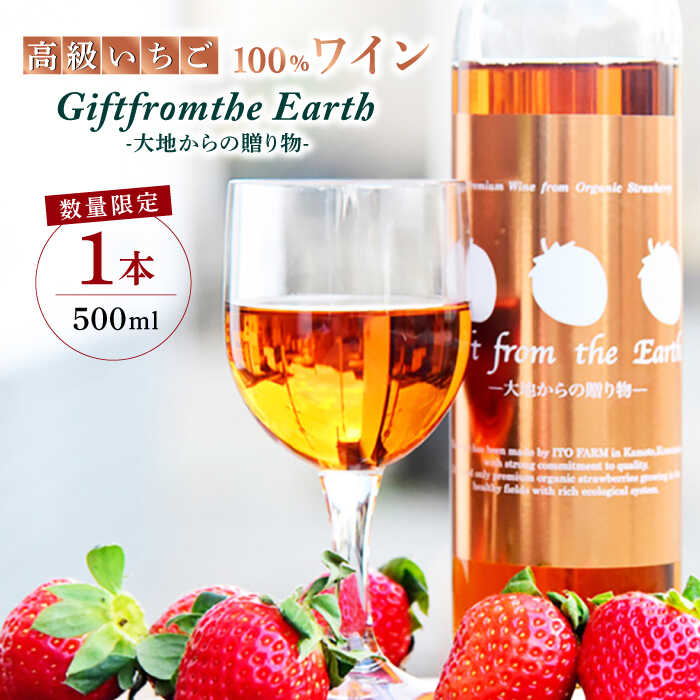 【ふるさと納税】【数量限定】高級 いちご 100％ワイン Giftfromthe Earth -大地からの贈り物- オーガニック【伊藤農園】[ZBB004]
