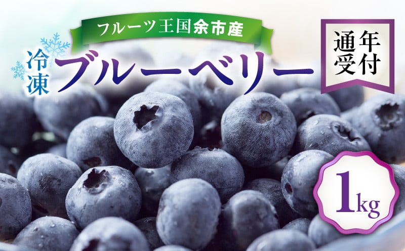 フルーツ王国余市産 冷凍ブルーベリー 1kg【ニトリ観光果樹園】_Y074-0149