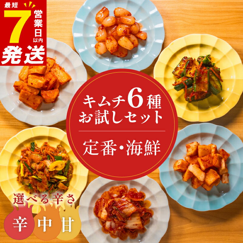 【ふるさと納税】 キムチ 6種 詰め合わせ 選べる辛さ 食べ比べ 小分け 白菜 長芋 胡瓜 大根 セロリ らっきょ キムチ 詰め合わせ バラエティーセット ごはんのお供 キムチ お米 ごはん ビール キムチ 酒 おつまみ 漬物 昆布 魚 野菜 惣菜 キムチ鍋 お試し 大阪府 松原市