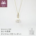 【ふるさと納税】 ペンダント ネックレス ジュエリー レディース アクセサリー ダイヤモンド 0.05ct あこや真珠 K18 イエローゴールド ジュエリーケース付 鑑別書付 保証書付 k072-020