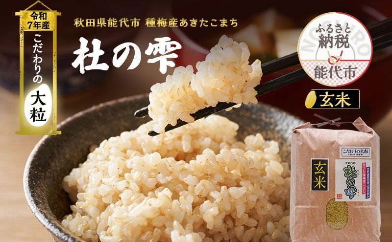 令和7年産 米 お米 《定期便6ヶ月》【玄米】秋田県産 あきたこまち あきた種梅産こまち 杜の雫 こだわりの大粒 5kg×6回 合計30kg