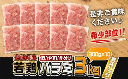 宮崎県産若鶏ハラミ3kg_12-M606_(都城市) 宮崎県産若鶏 ハラミ 300g×10 希少部位 真空パック 真空冷凍 炭火焼 焼肉等炒め料理 小分け