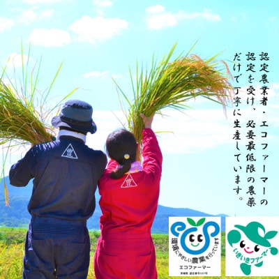 茨城県産コシヒカリ寿米流(すまいる)20kg(5kg×4袋)【1395774】