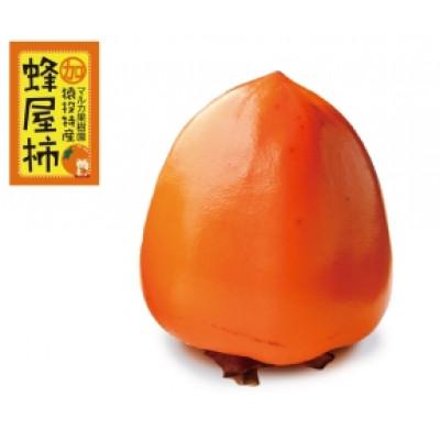 ふるさと納税 豊田市 【先行受付】蜂屋柿　約6kg 【2026年10月中旬以降順次発送】