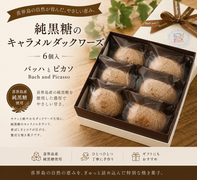 【ふるさと納税】純黒糖のキャラメルダックワーズ(6個入り)【バッハとピカソ】