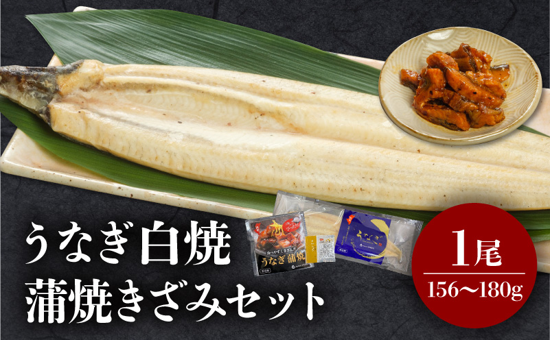 うなぎ白焼・きざみセット うなぎ 白焼 セット 冬うなぎ 冬鰻_M069-021