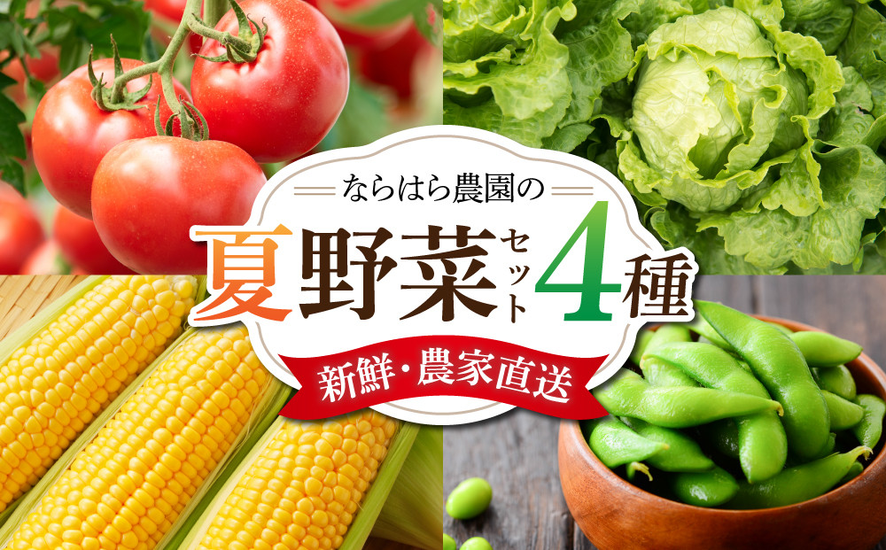 
            【ならはら農園】新鮮！夏野菜のセット（トマト、枝付き枝豆、とうもろこし、葉物野菜）
          