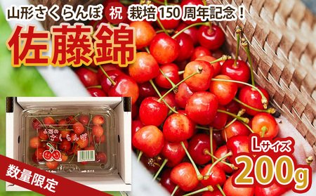 山形さくらんぼ (祝)栽培150周年記念！佐藤錦 200g L玉 数量限定！【令和8年産先行予約】FS25-060