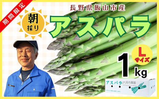 【先行予約】朝採り!露地栽培アスパラガス1kg（令和7年5月発送）【期間限定】(7-A1)