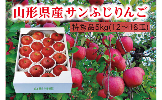 
《先行予約 2024年度発送》【山形県産】サンふじりんご特秀品5kg りんご リンゴ 林檎 デザート フルーツ 果物 くだもの 果実 食品 山形県 FSY-0406
