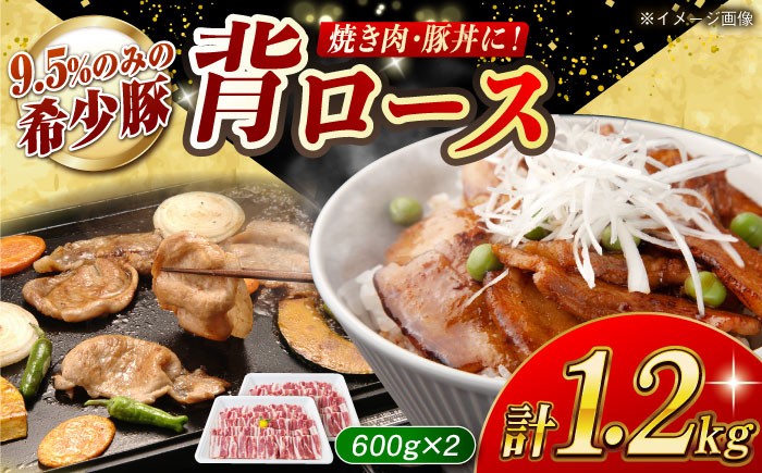 
                  【焼肉革命】大西海SPF豚 背ロース（焼肉用）計約1.2kg（600g×2パック）長崎県/長崎県農協直販 [42ZZAA072]
                