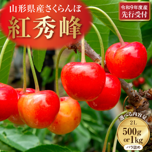 【令和9年産】さくらんぼ「紅秀峰」 秀2L  山形県河北町産 【晴天畑】