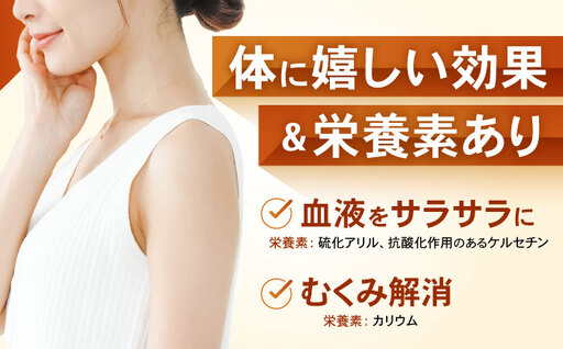 諫早産 新玉ねぎ 10kg / 新玉ねぎ 玉ねぎ 玉葱 たまねぎ タマネギ 野菜 やさい 10kg 甘い / 諫早市 / 松尾農園 [AHAY029]
